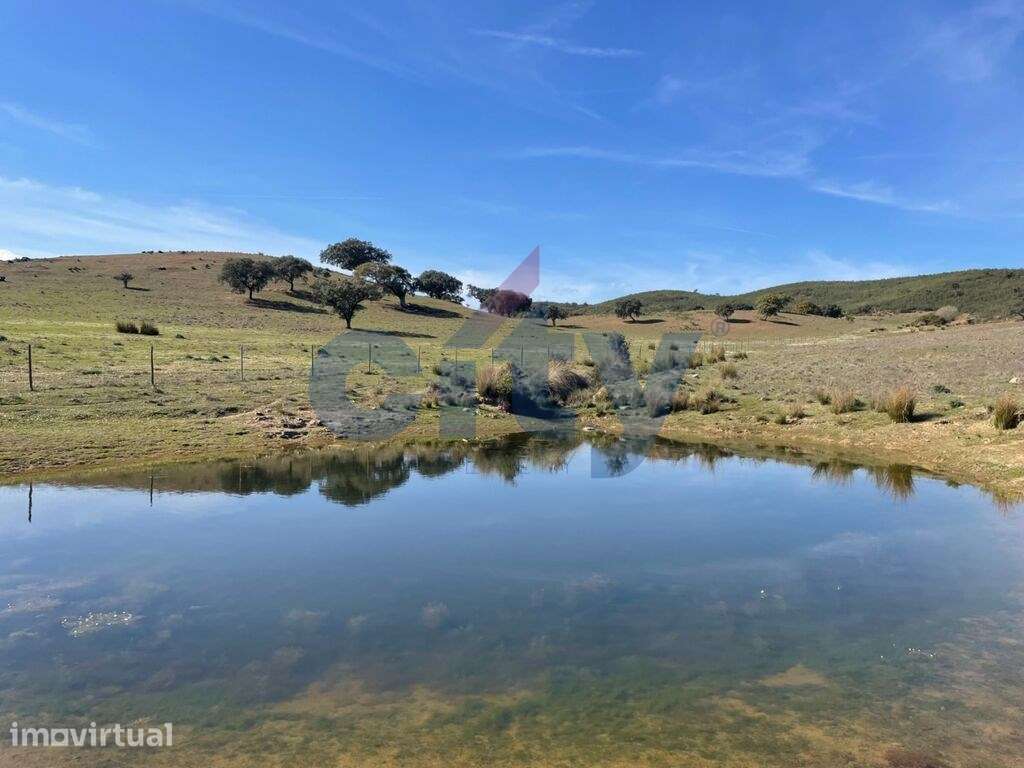 Herdade de Monte Branco, Figueira e Malhada Velha - Grande imagem: 4/41