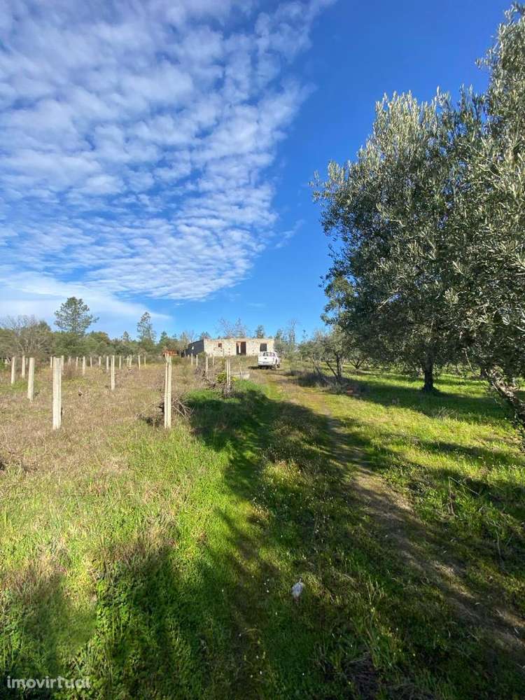 Quinta - Grande imagem: 2/14