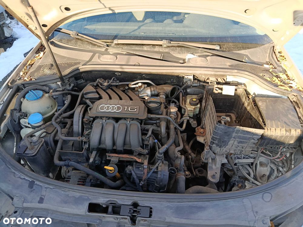 Audi A3 8P 1.6 BGU 2003r NA CZĘŚCI - 5