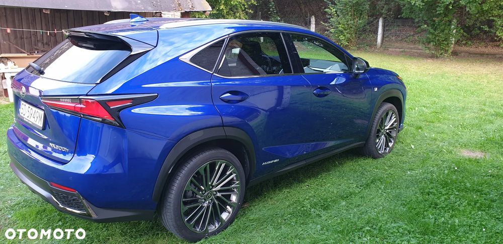 Lexus NX 300h F Sport AWD - 32