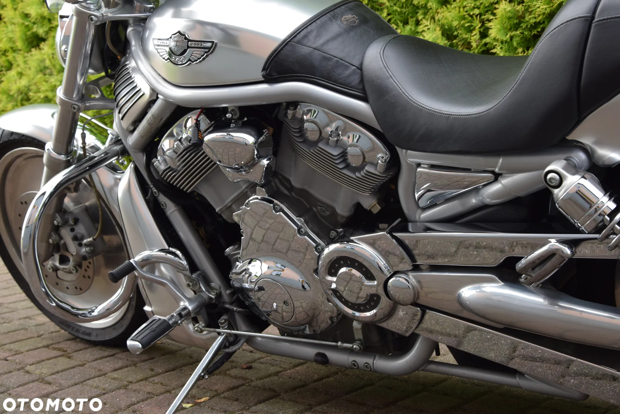 Harley-Davidson Softail V-Rod - 12