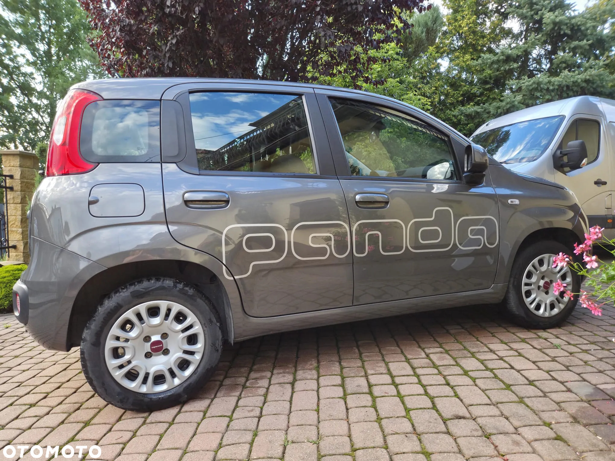 Fiat Panda 1.2 Lounge - 4