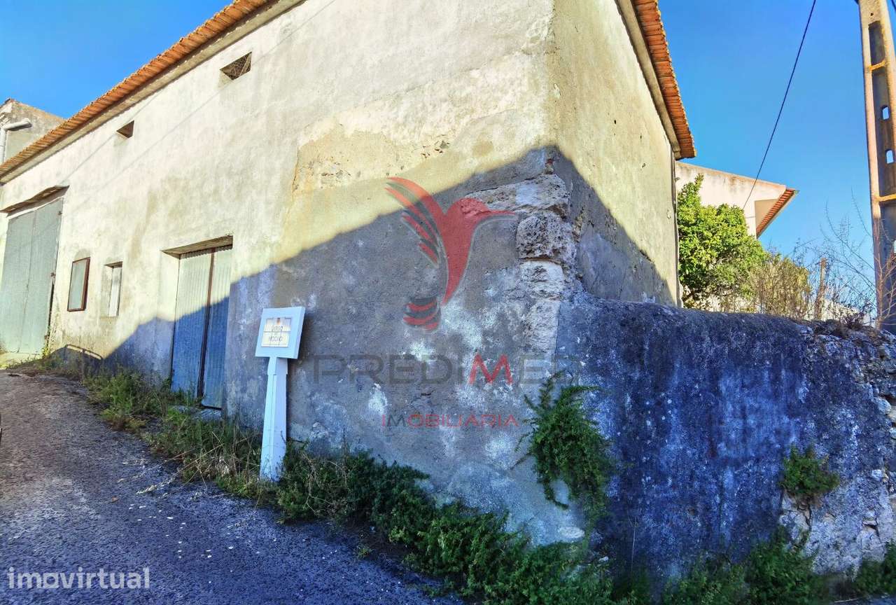 Excelente oportunidade de negócio, pavilhão para seu projeto agrícola. - Grande imagem: 2/23