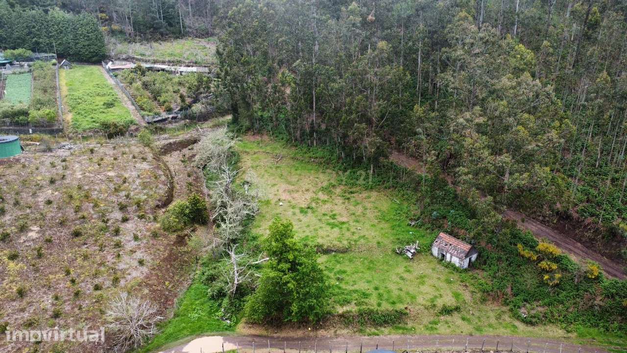 Terreno Rústico com 3.796 m² nos Canhas – Ponta do Sol - Grande imagem: 4/7