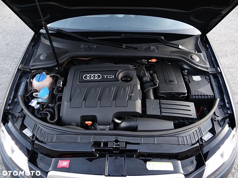 Audi A3 Sportback 1.6 TDI Attraction - 22