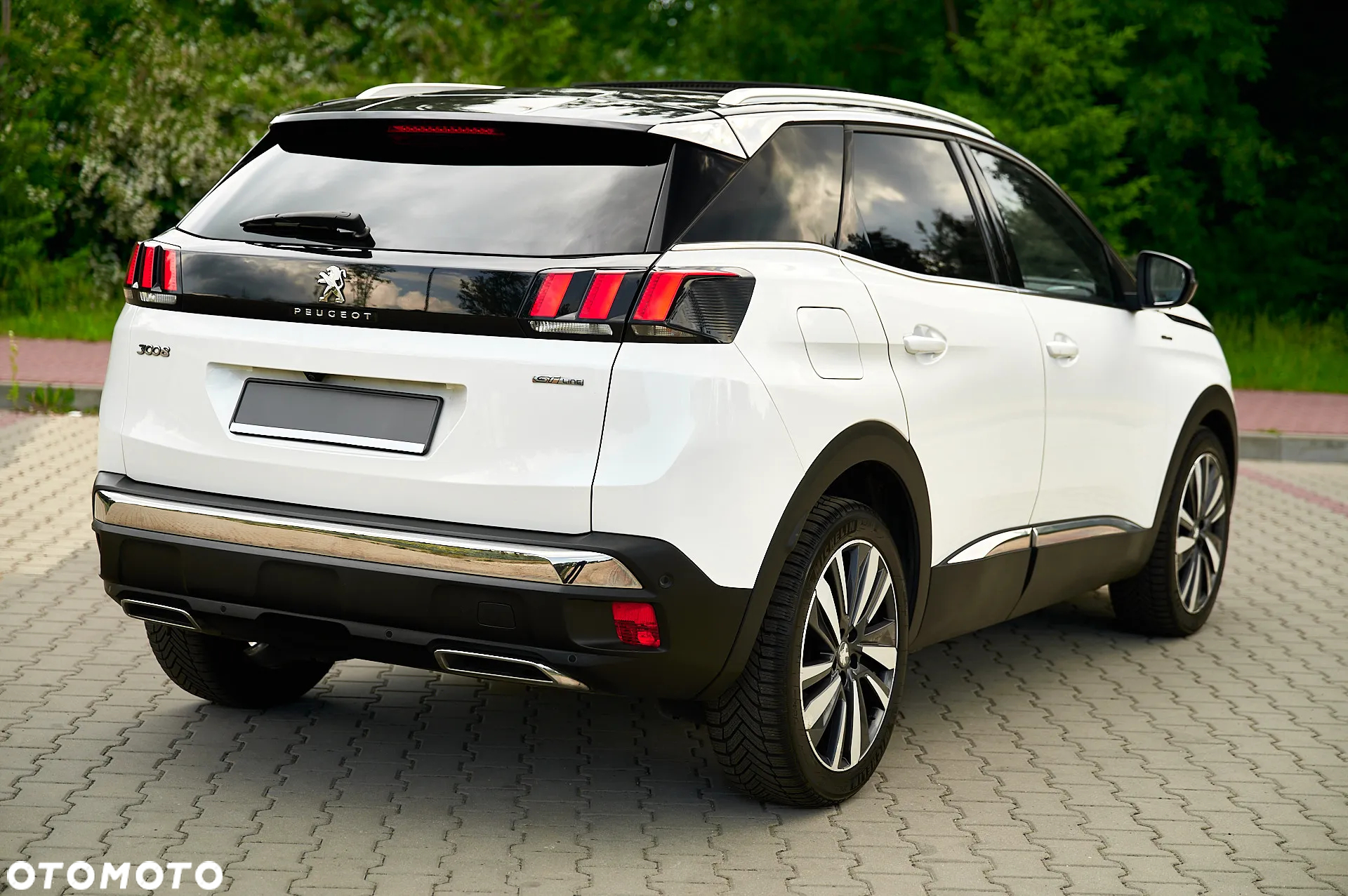 Peugeot 3008 1.5 BlueHDi GT S&S - 13
