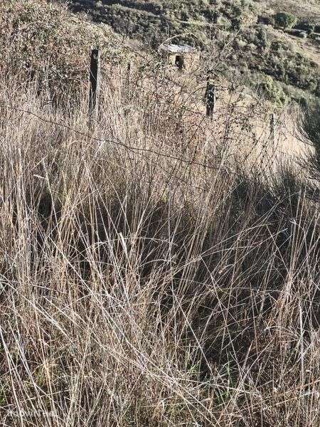 Terreno rústico em Moncorvo - Grande imagem: 5/8