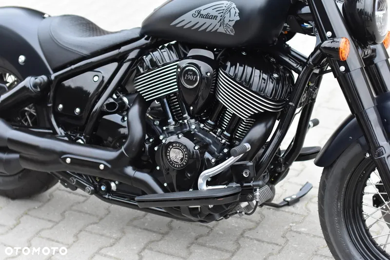 Indian Chief - 6
