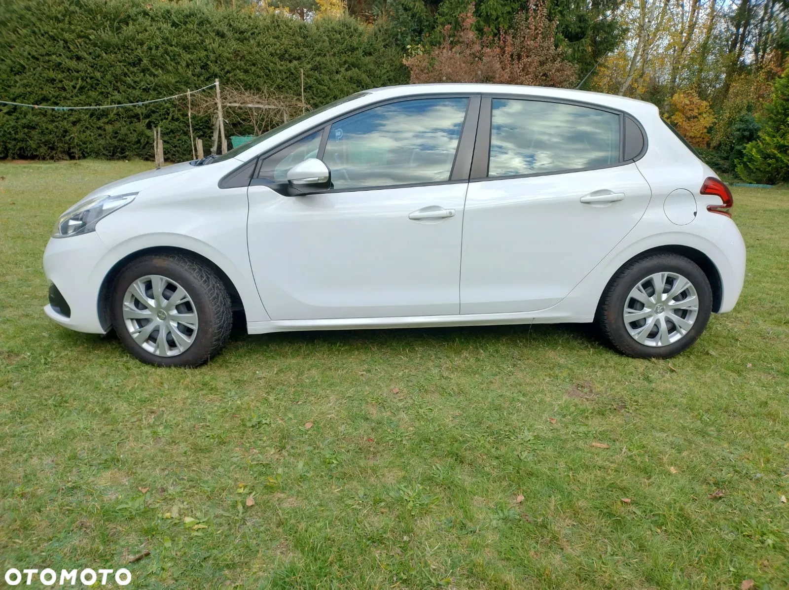 Renault Clio - 6
