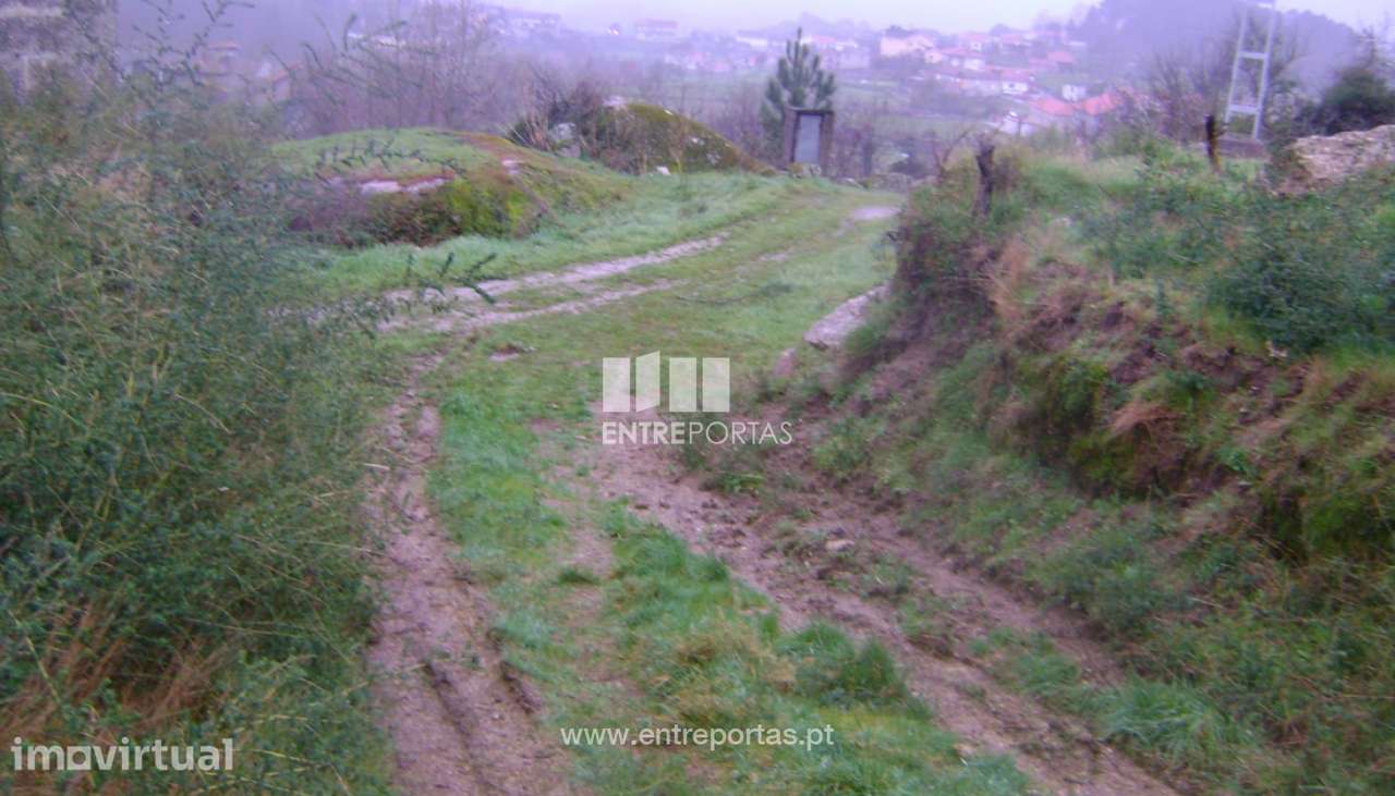 Venda Terreno, Avessadas, Marco de Canaveses - Grande imagem: 4/34