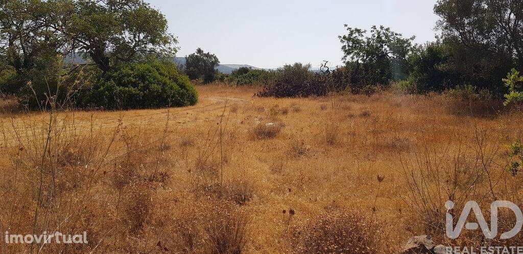 Terreno em Boliqueime de 13750,00 m2 - Grande imagem: 4/6