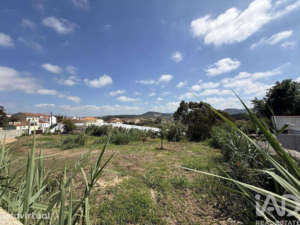 Terreno para construção em Ventosa de 2520,00 m2 - Grande imagem: 3/22