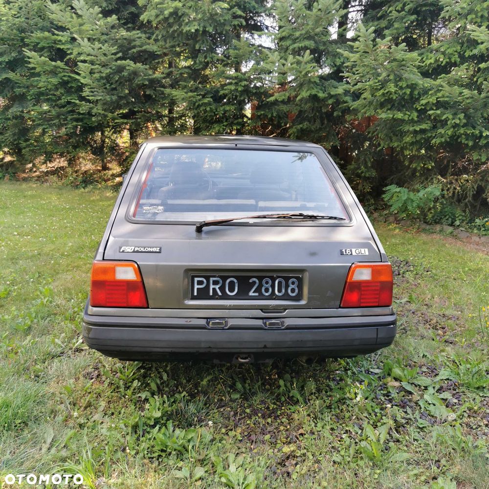 Polonez Caro - 5