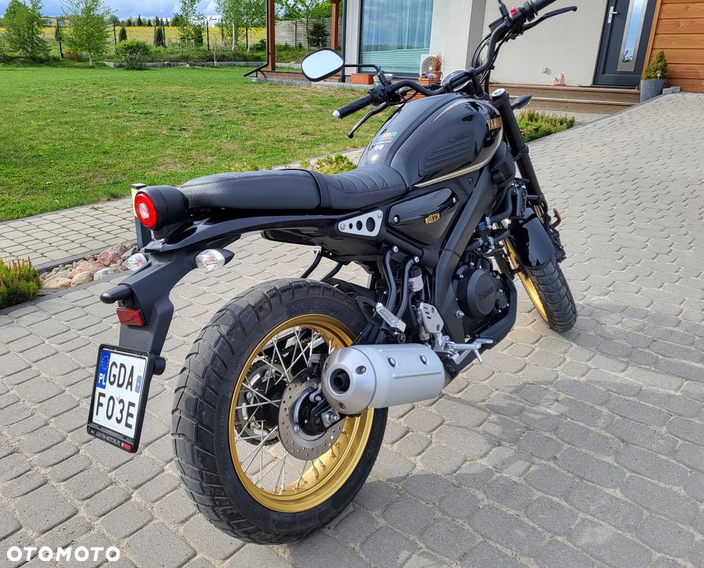 Yamaha XSR - 8