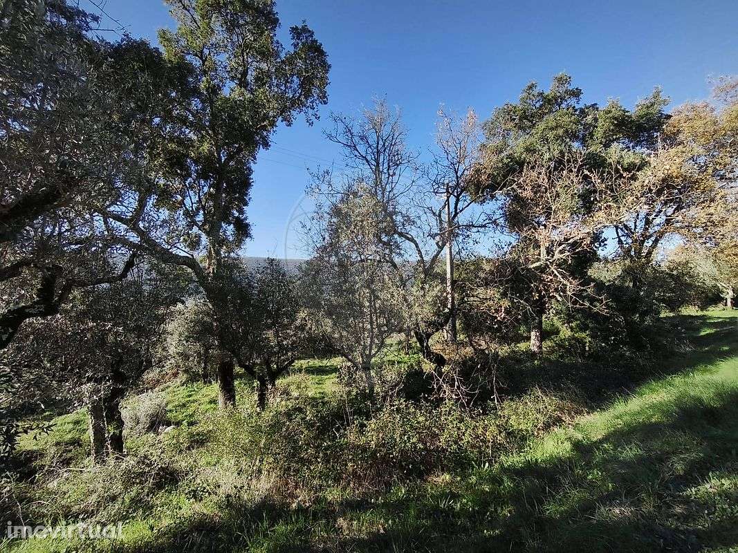 Terreno  para venda - Grande imagem: 4/14