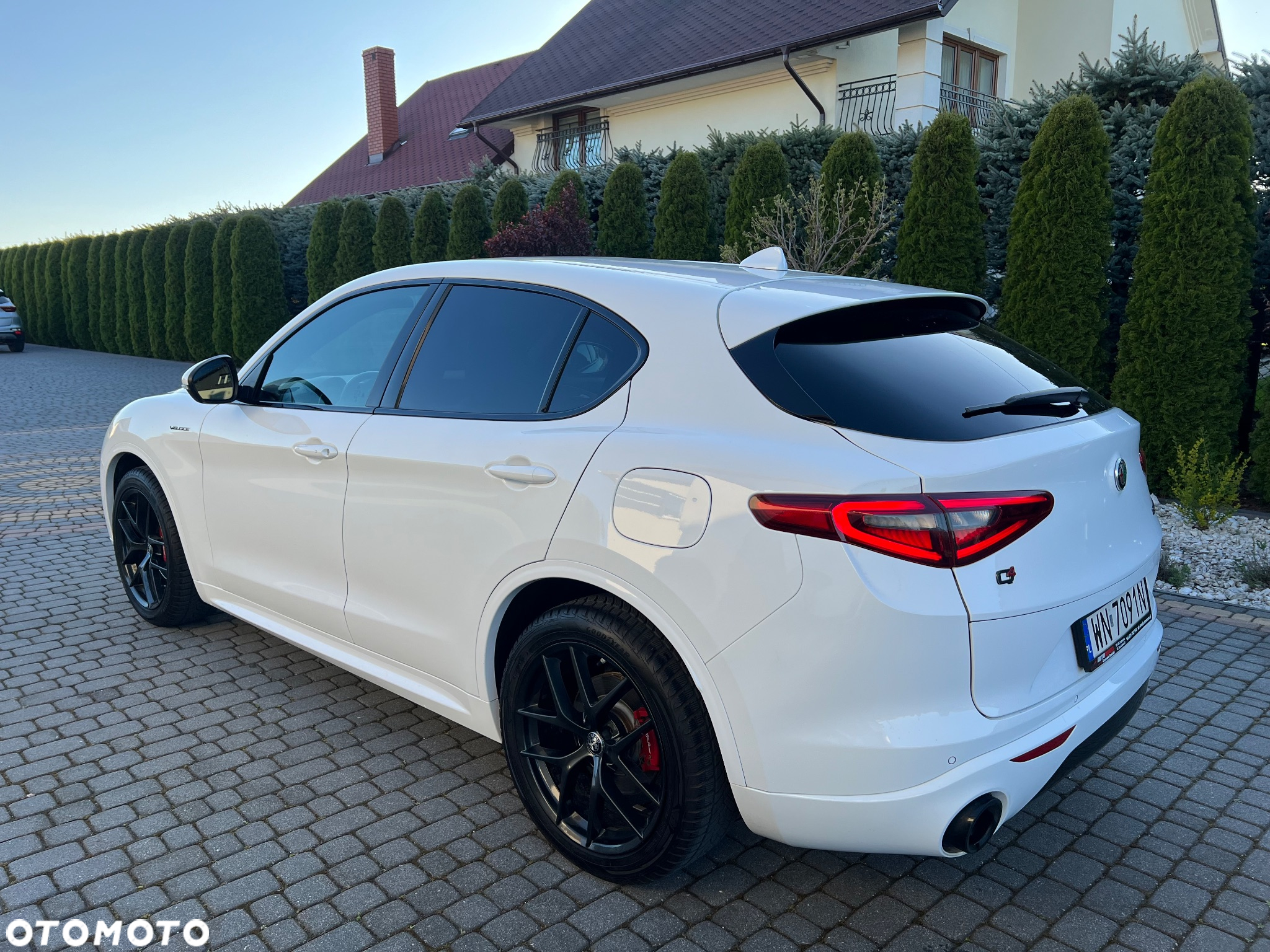 Alfa Romeo Stelvio 2.0 Turbo Veloce Q4 - 9