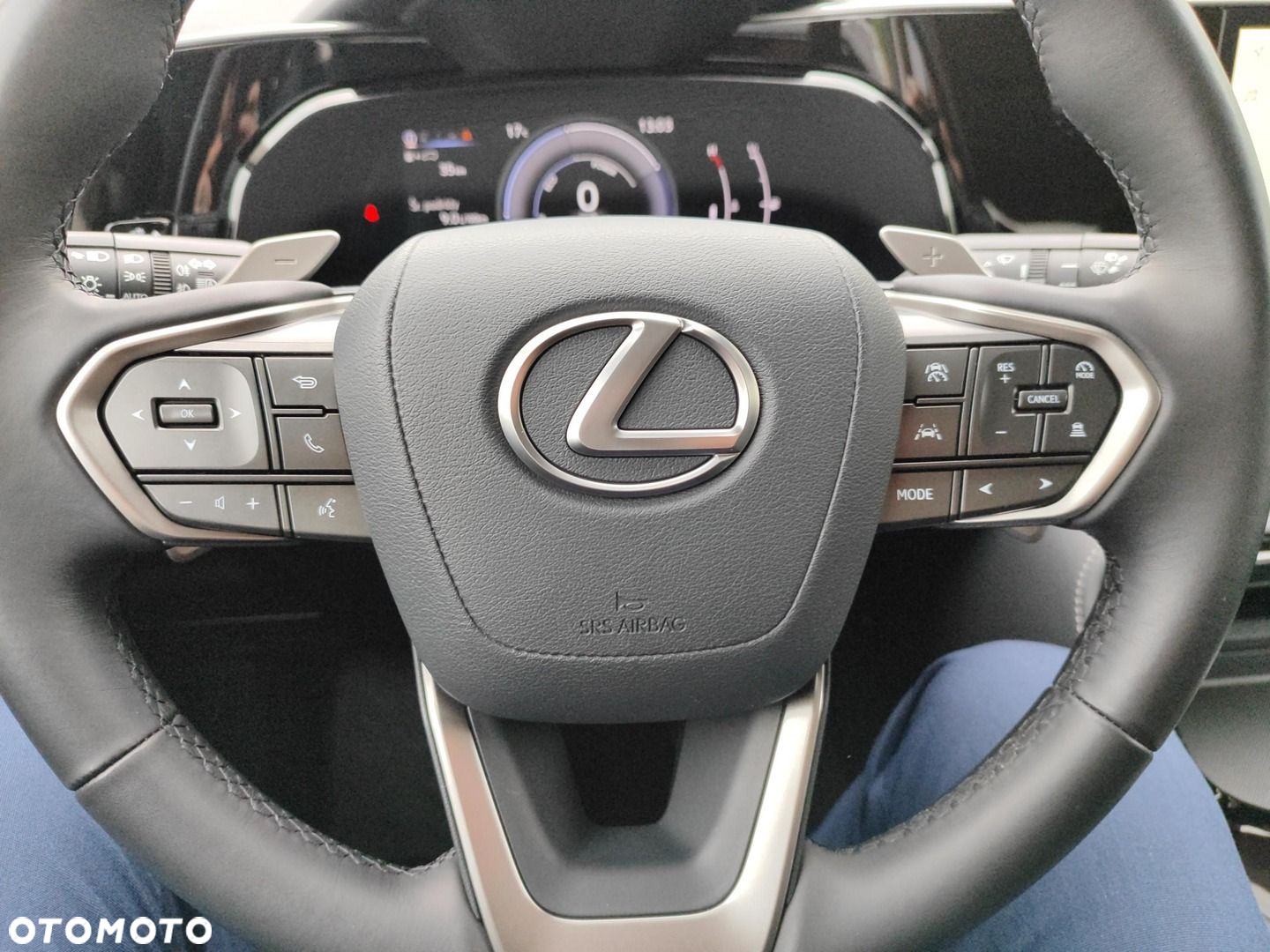 Lexus NX - 17