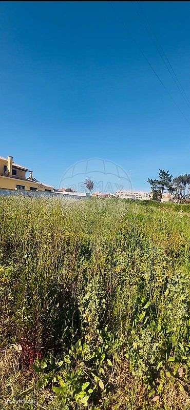 Terreno  para venda - Grande imagem: 3/5