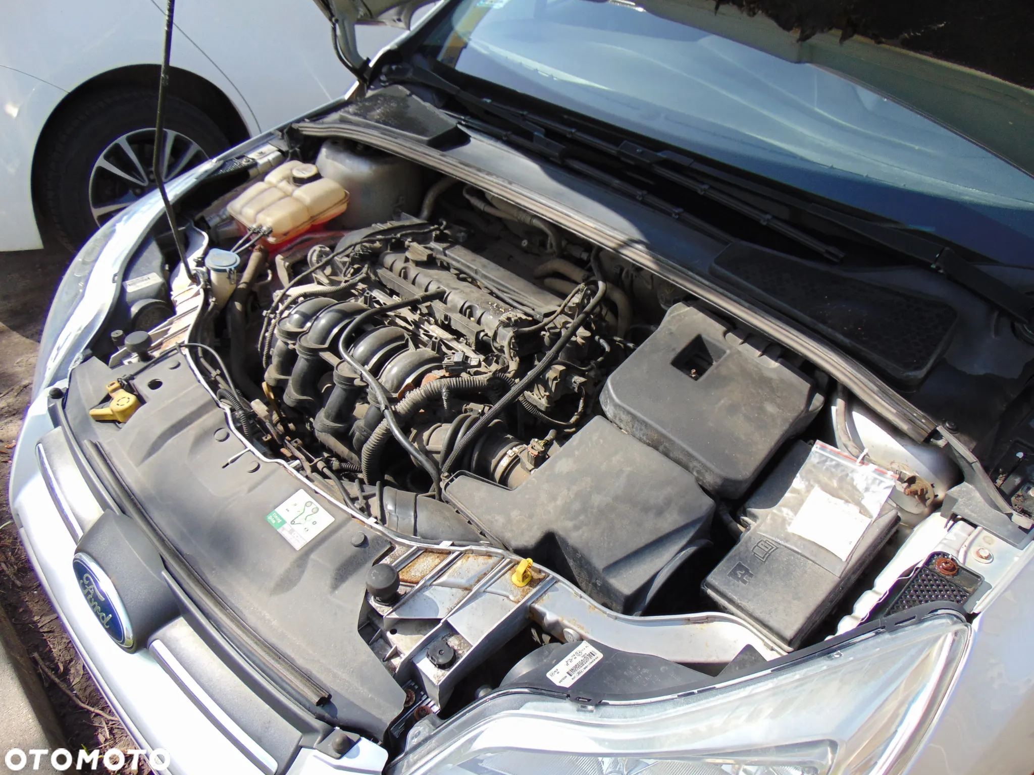 Ford Focus - 15
