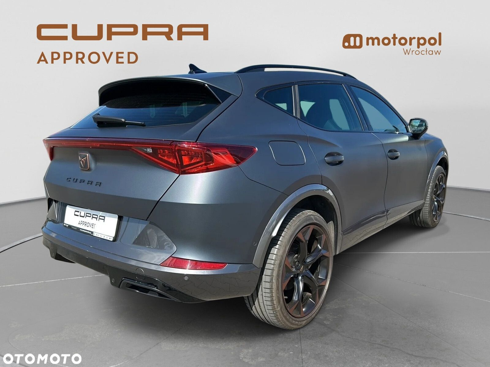 Cupra Formentor 2.0 TSI 4Drive DSG - 16