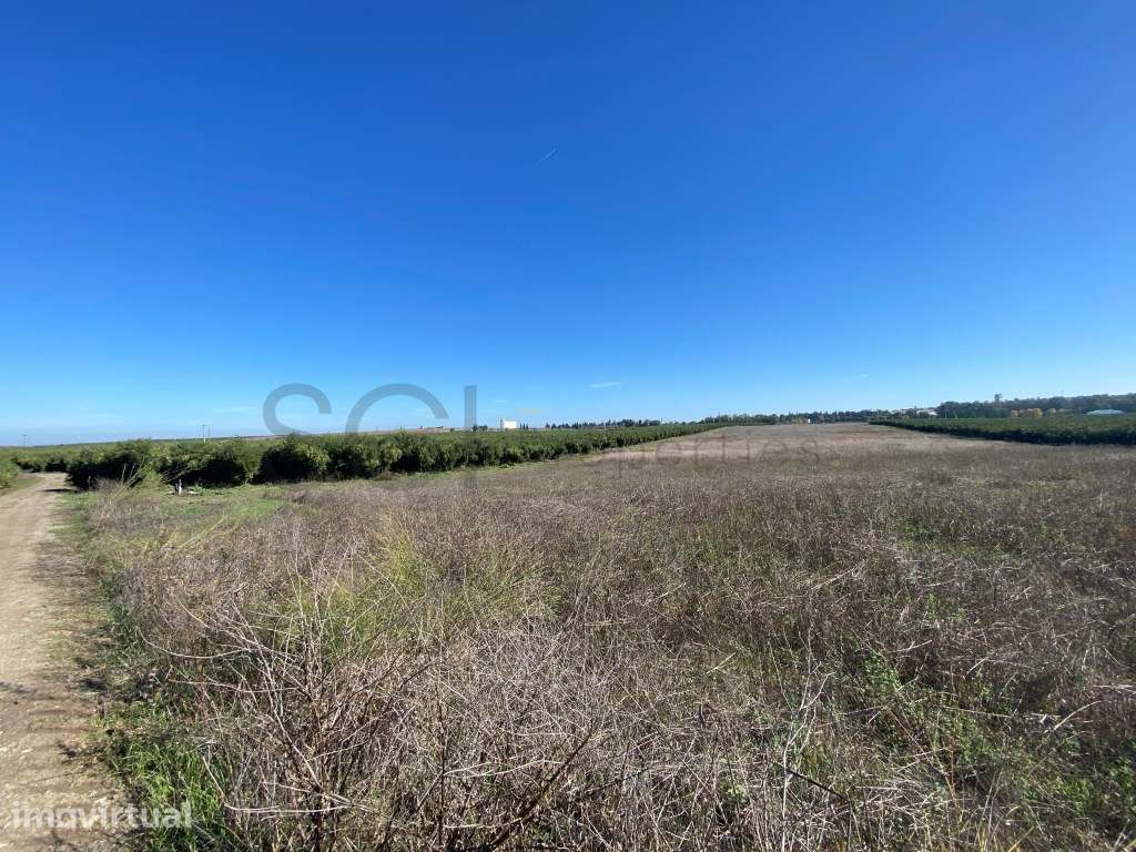 Terreno Rustico de terra limpa, nas imediações da cidade de Beja - Grande imagem: 2/30