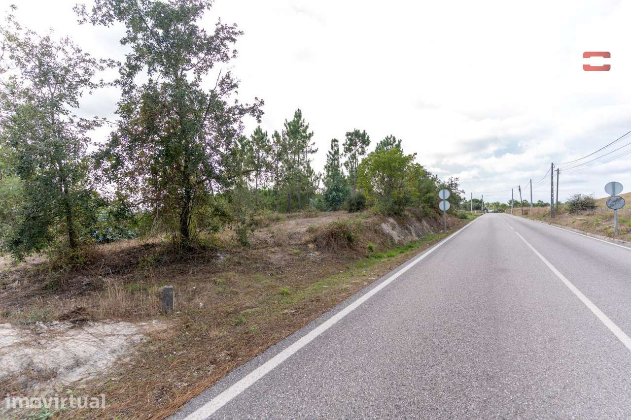 Terreno Rústico com Viabilidade de Construção em Juncal - Grande imagem: 4/9