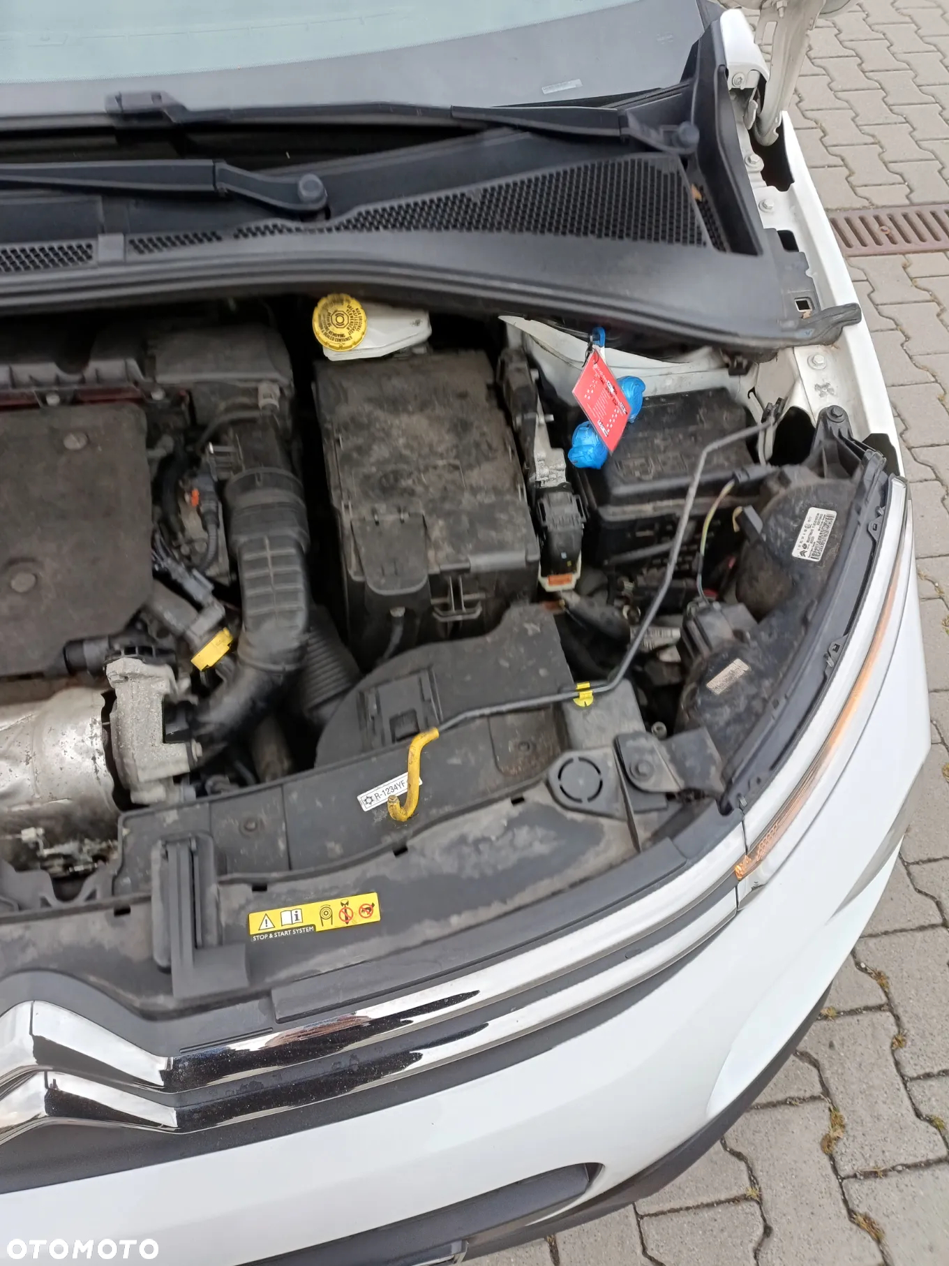 Citroën C3 1.5 BlueHDi Feel S&S - 9