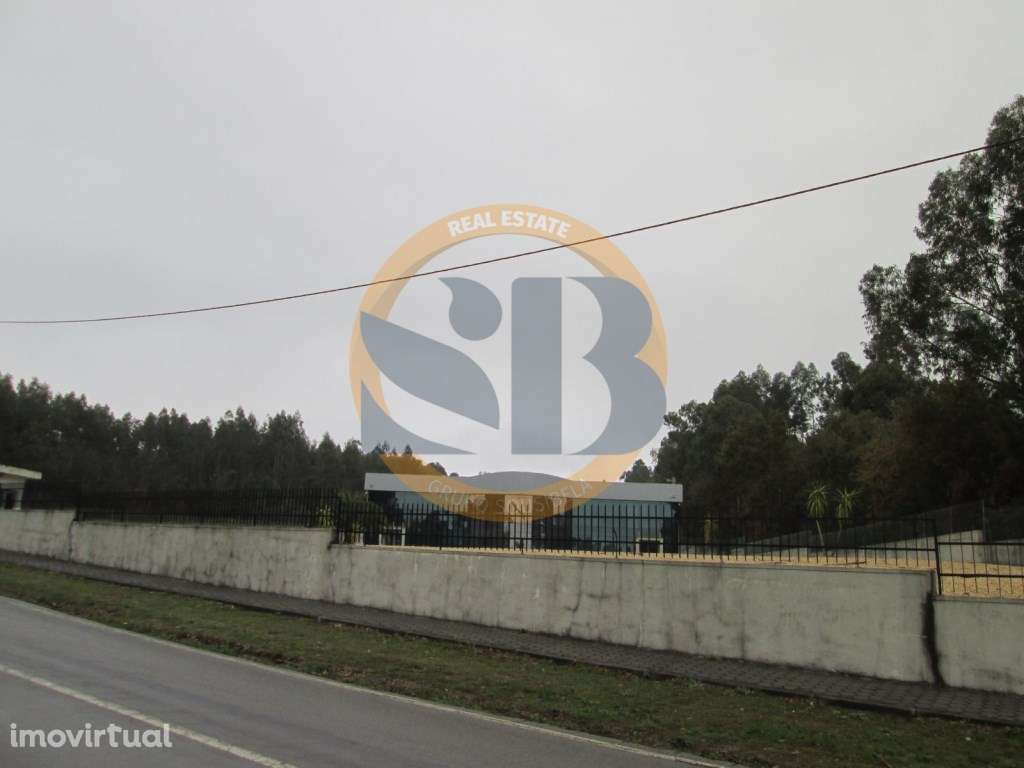 Terreno Vale de Cambra - Grande imagem: 2/4