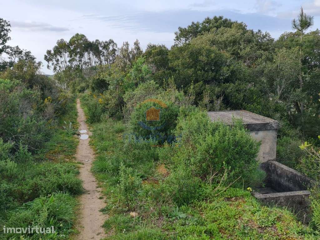 Terreno agrícola 31.000m2 | Matacães, Torres Vedras - Grande imagem: 4/4