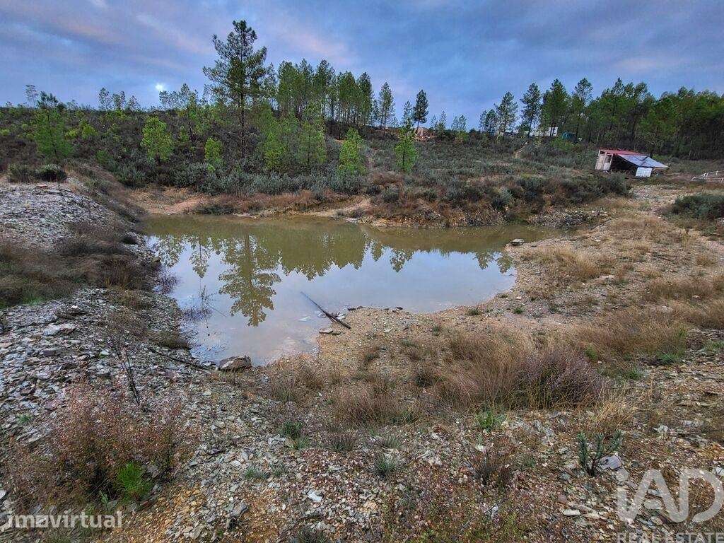 Terreno Agrícola em Ninho do Açor e Sobral do Campo - Grande imagem: 3/30