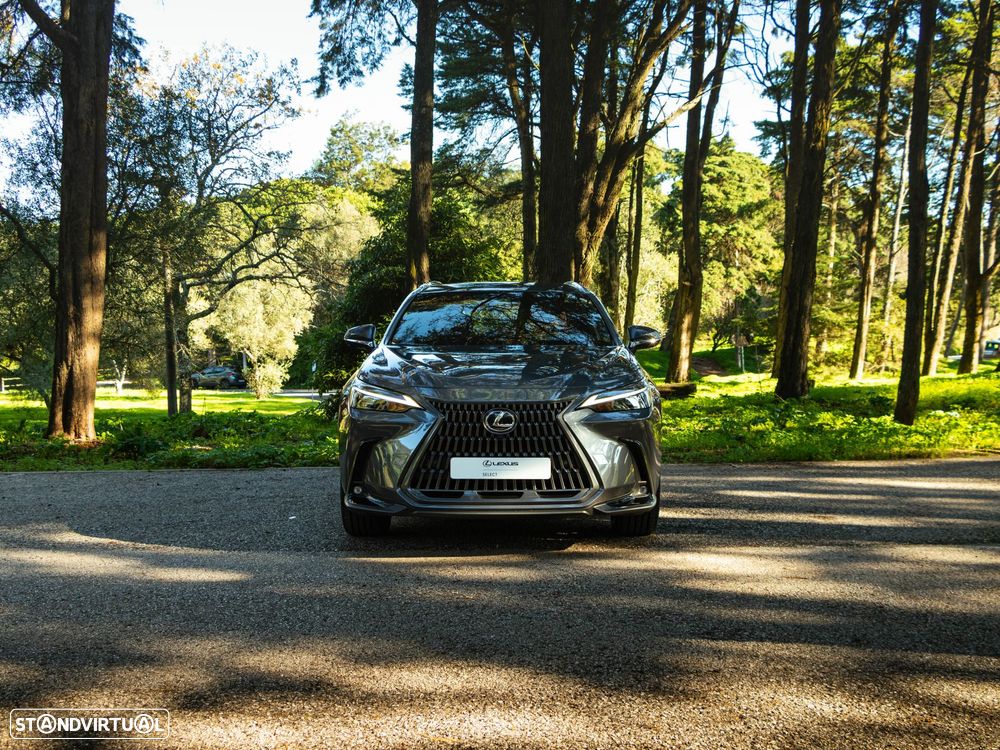 Lexus NX 350h Executive+ - 5