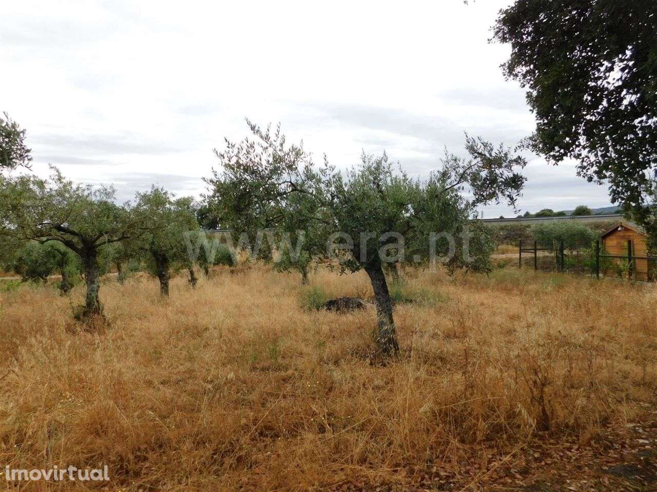 Terreno / Fundão, Soalheira - Grande imagem: 2/5