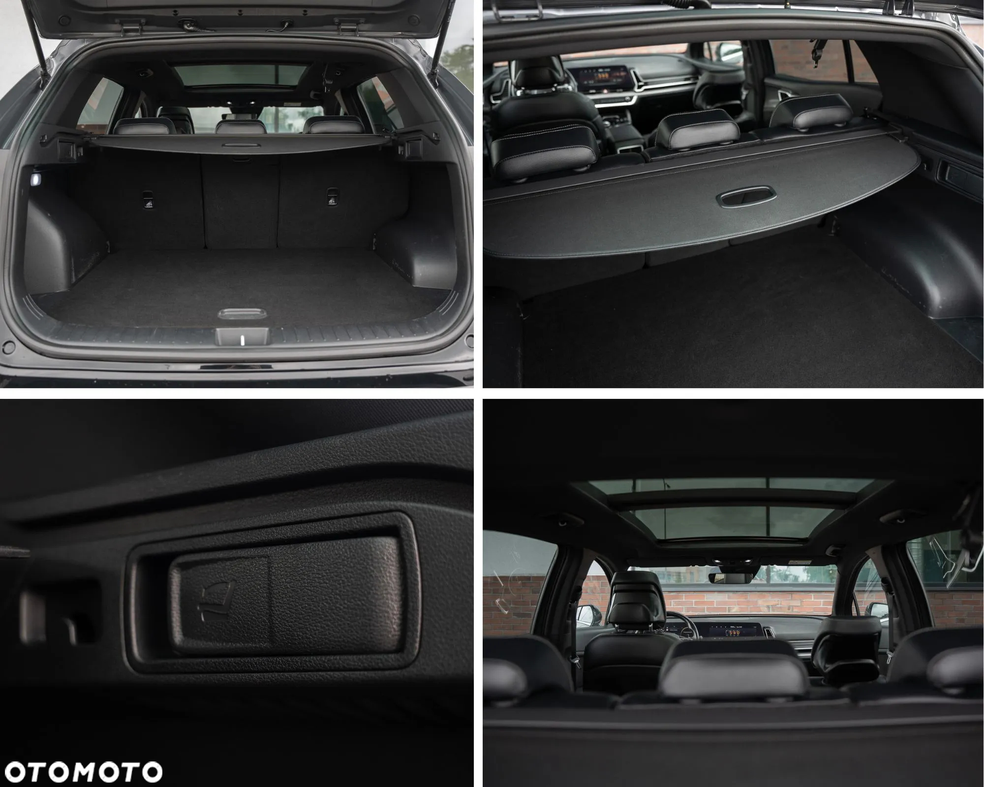 Kia Sportage 1.6 T-GDI 2WD Eco-Dynamics + (48V M-H) DCT GT-Line - 40