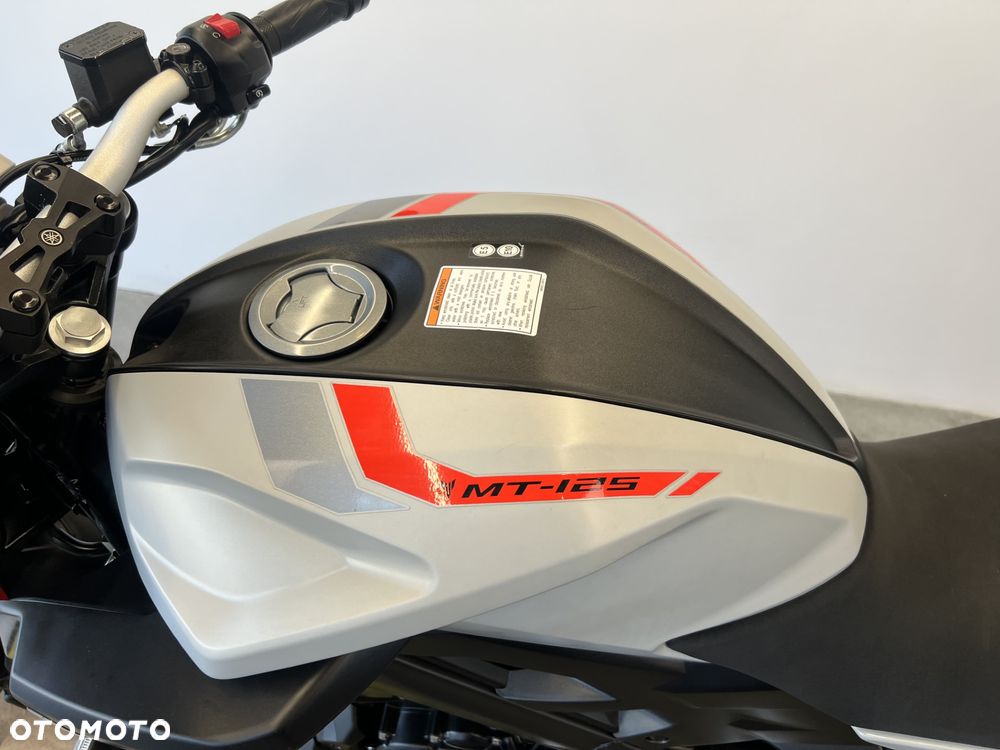 Yamaha MT - 13