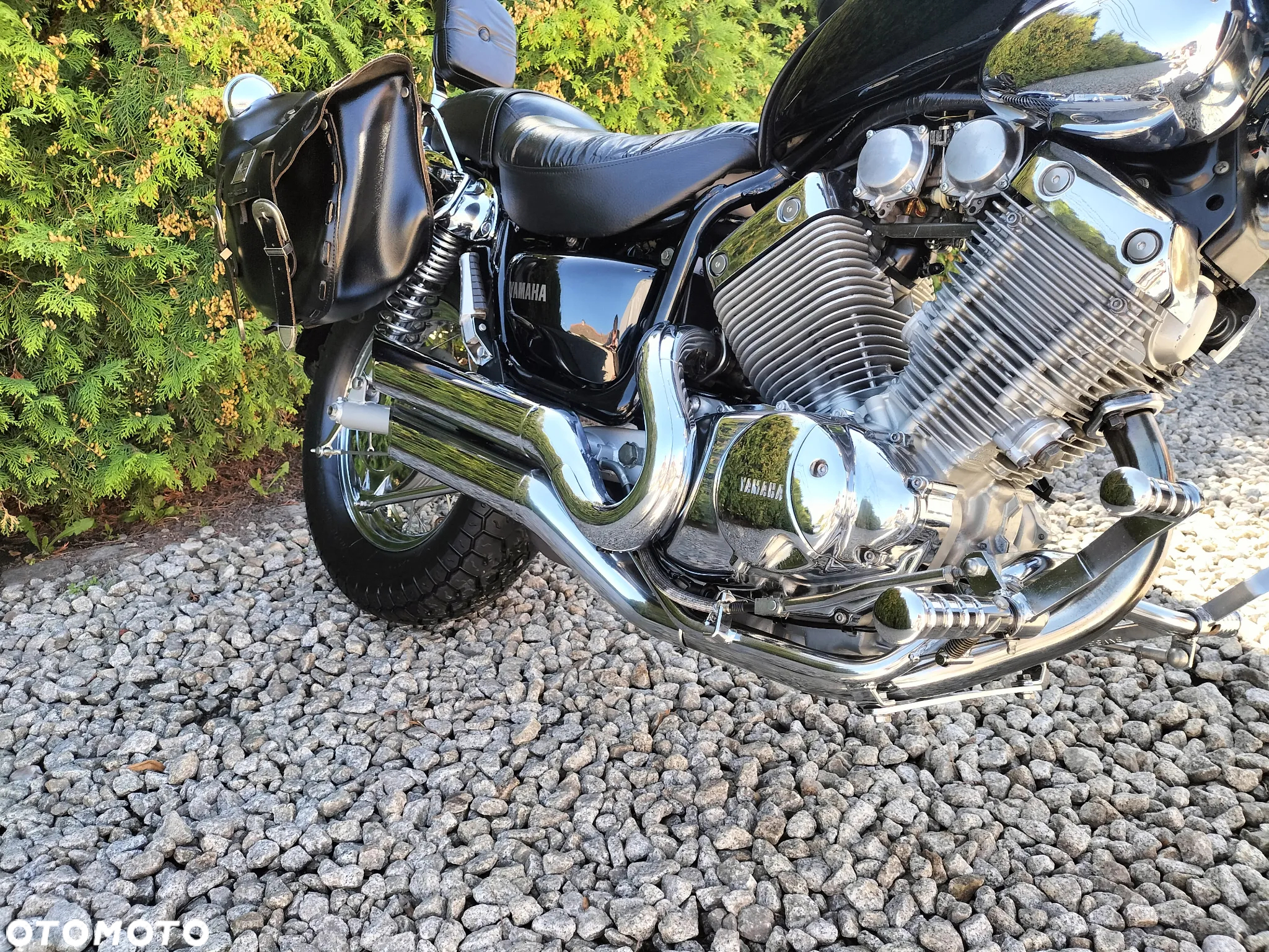 Yamaha Virago - 8
