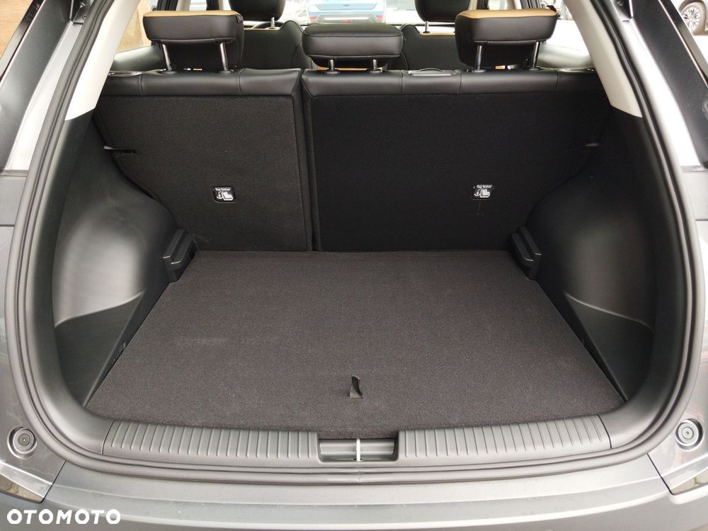 GAC Emzoom 1.5T Luxury DCT - 18
