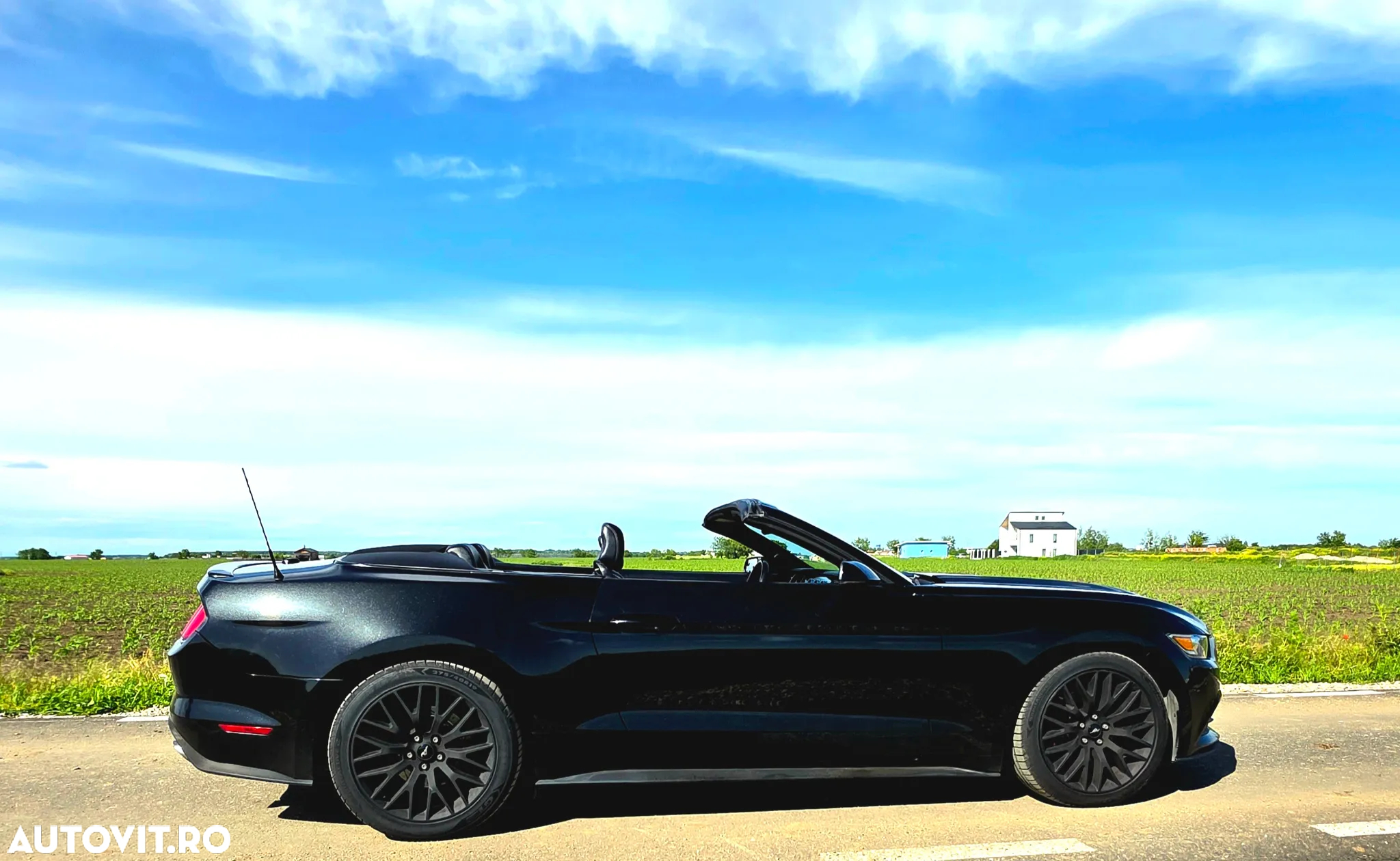 Ford Mustang Cabrio 2.3 Eco Boost - 2