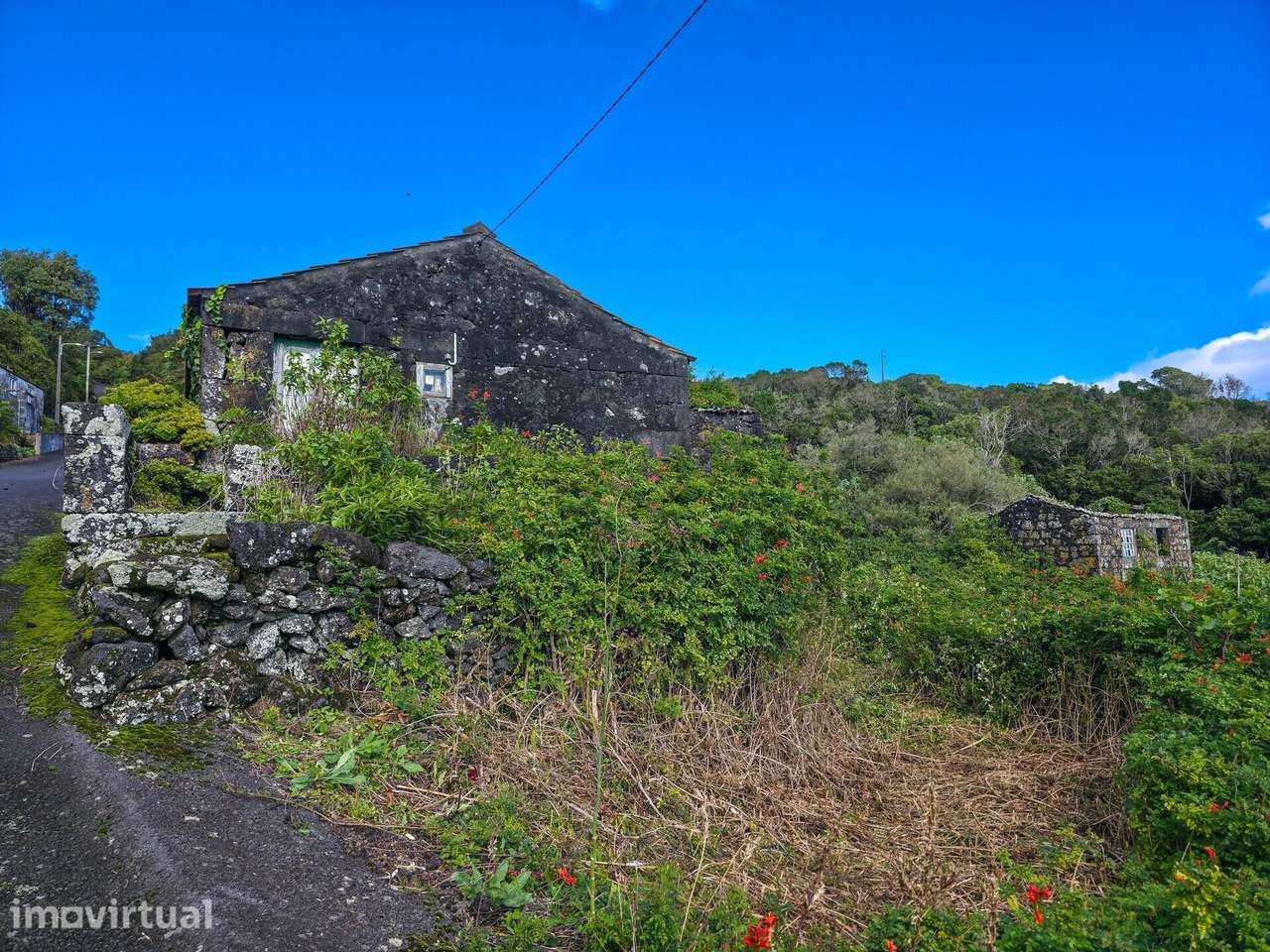 Terreno misto com edificações - Feteira - Pico - Grande imagem: 2/15
