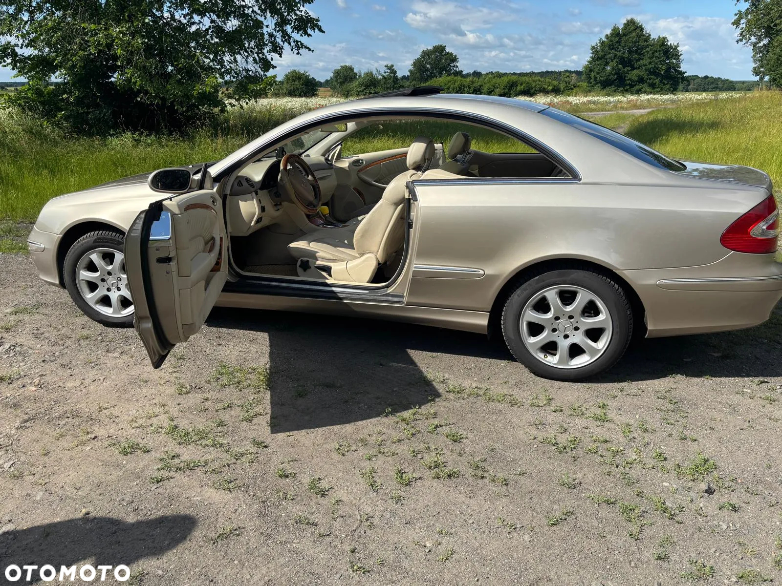 Mercedes-Benz CLK - 16