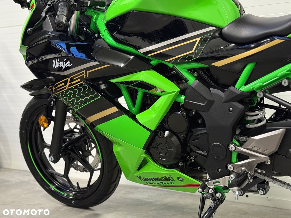 Kawasaki Ninja - 32