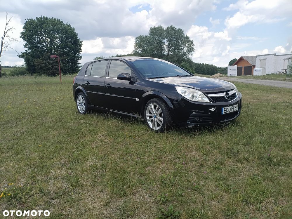 Opel Signum - 2