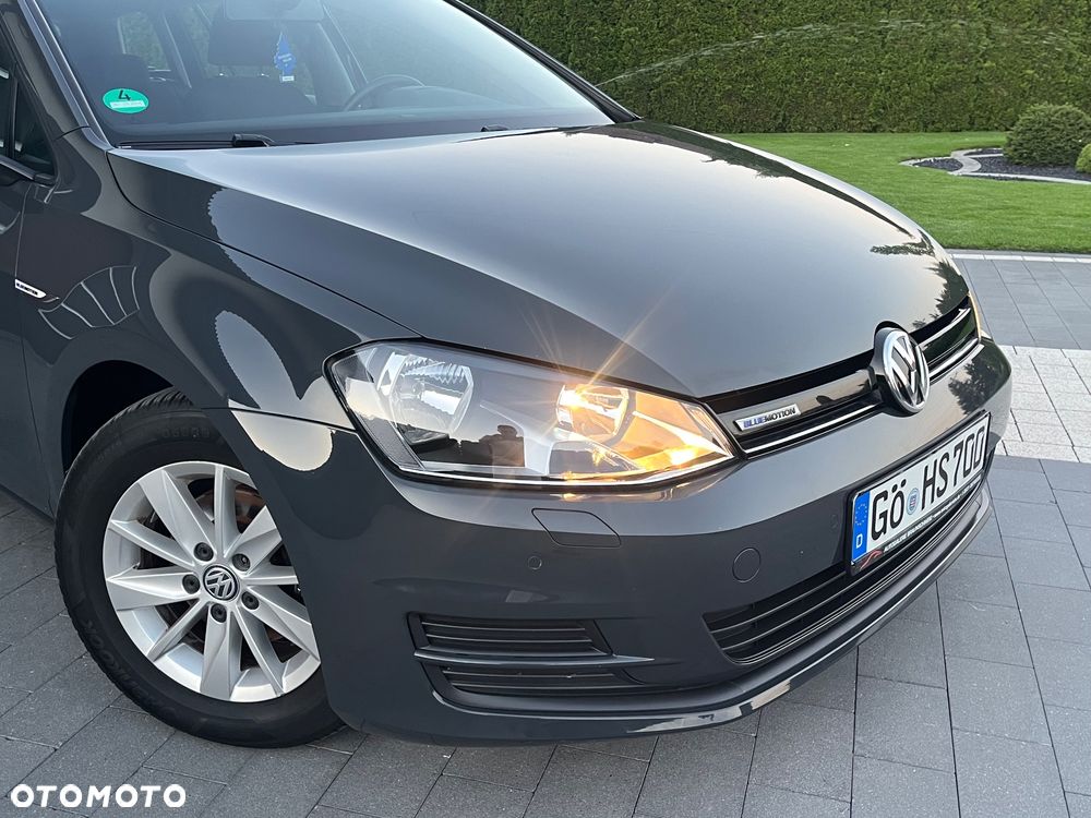 Volkswagen Golf 1.6 TDI BlueMotion Technology Lounge - 6