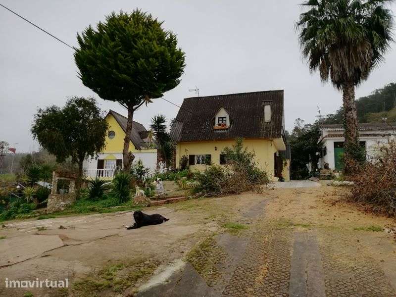 QUINTINHA COM 4.380m2. A 50 minutos de Lisboa. Casa com cerca de 300m2 - Grande imagem: 3/5
