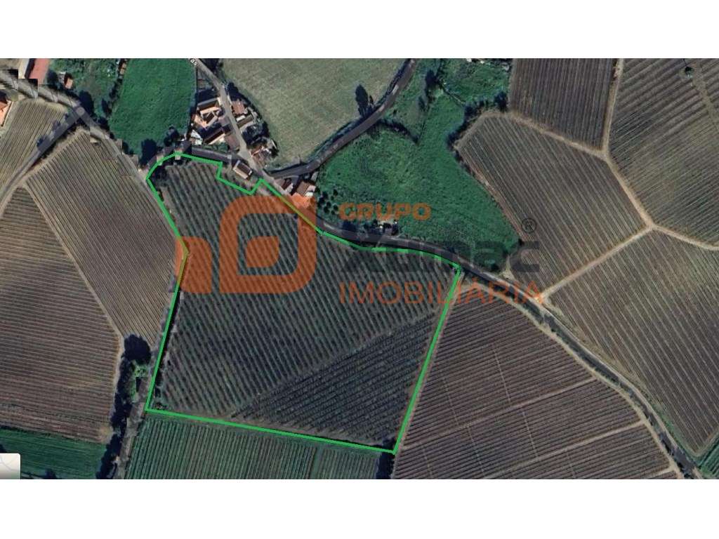 Terreno agrícola- pomar de macieiras com furo de água, bomba e quas... - Grande imagem: 2/2