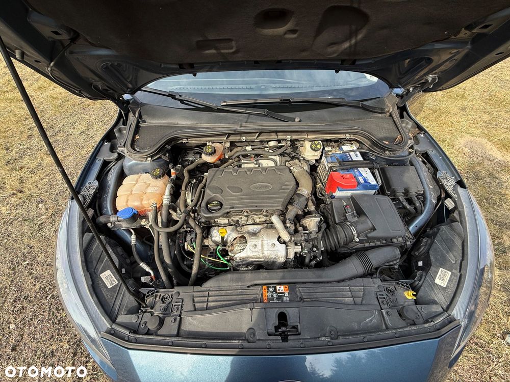 Ford Focus - 25