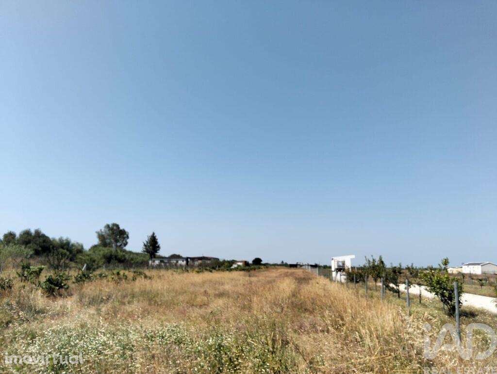 Terreno em Benfica do Ribatejo de 6720,00 m2 - Grande imagem: 2/29