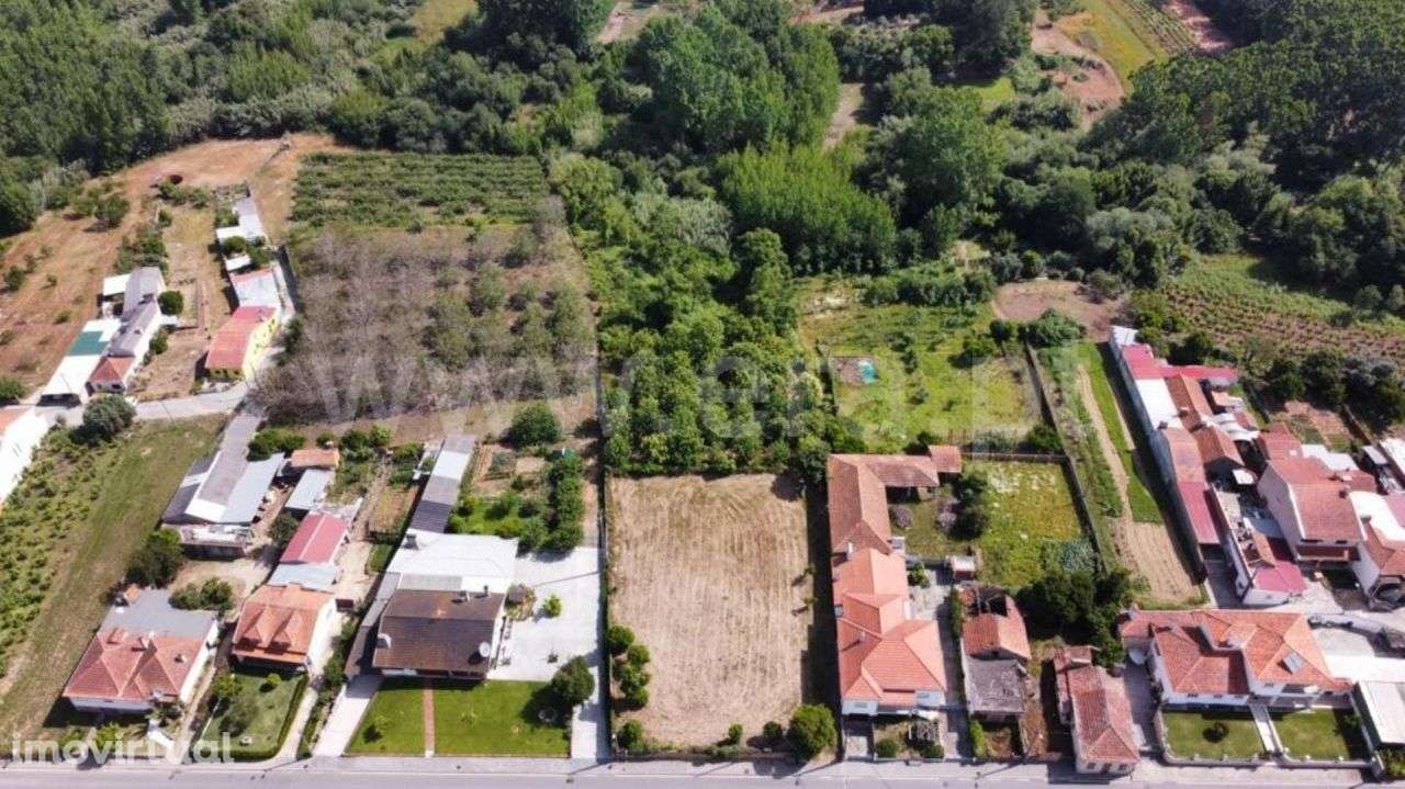 Terreno Amoreira da Gândara, Paredes do Bairro e Ancas | ER - Grande imagem: 5/5