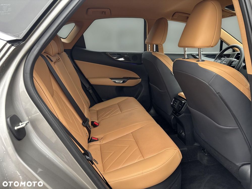 Lexus NX - 10