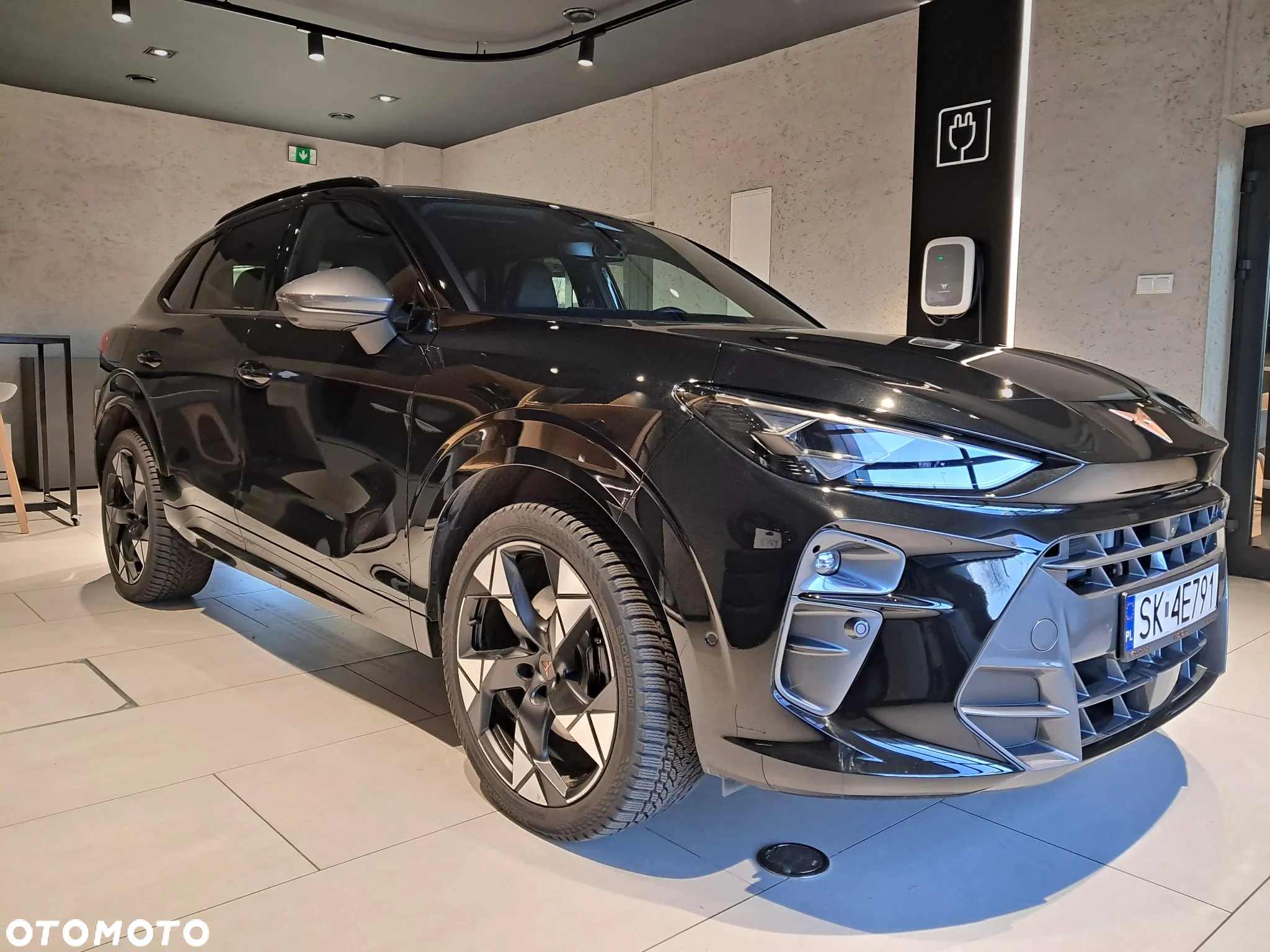 Cupra Terramar - 5