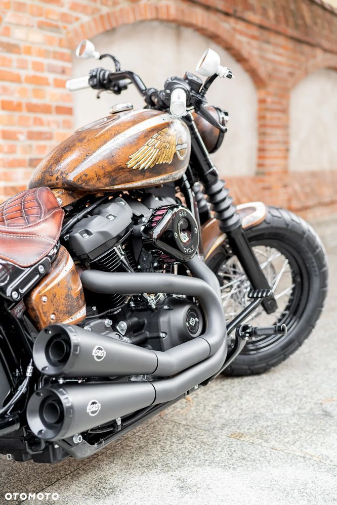 Harley-Davidson Softail - 16